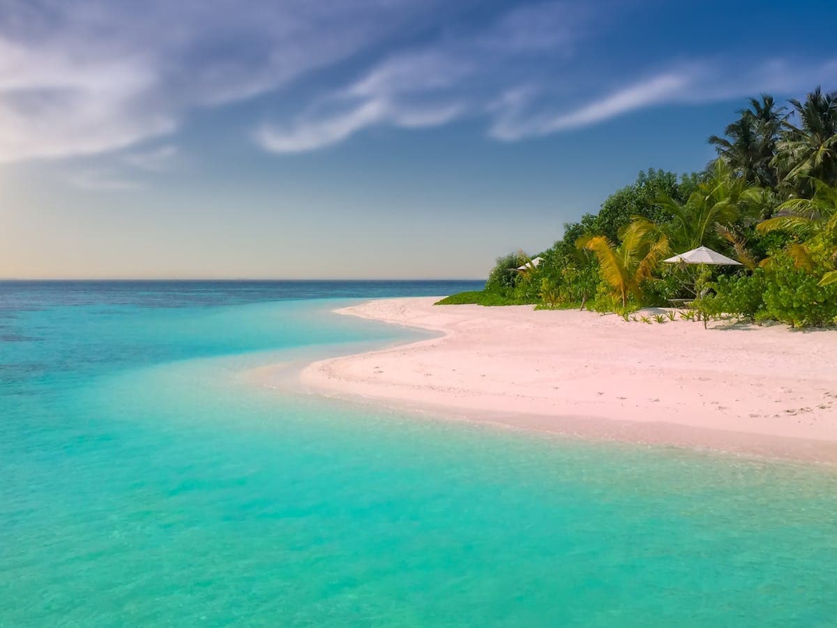 A tropical resort beach with turquoise water and palm trees